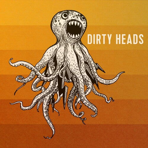 Dirty Heads - Dirty Heads ( VINYL )