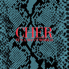 Cher - It's a Man's World ( VINYL )