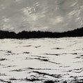 Tjaktjadalvve: Echoes On A Windswept Plain - CD