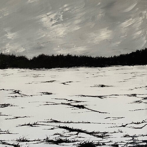 Tjaktjadalvve: Echoes On A Windswept Plain - CD