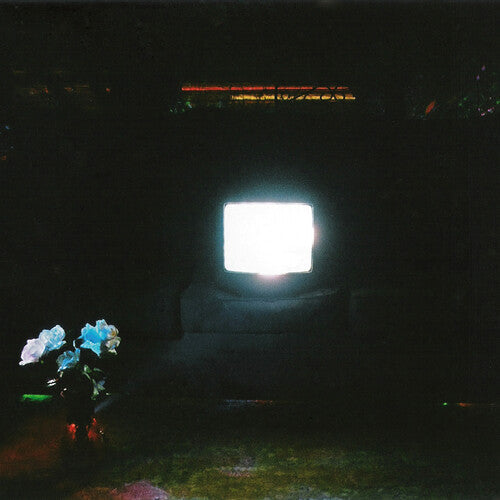 The Emeralds: Does It Look Like I'm Here? - Vinyl