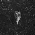 Bees Made Honey in the Vein Tree: Aion - CD