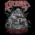 Avulsed: Vomiting Corpses: The 90S Regurgitations - CD