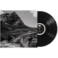 Andrew Bird - Outside Problems ( VINYL )