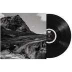 Andrew Bird - Outside Problems ( VINYL )