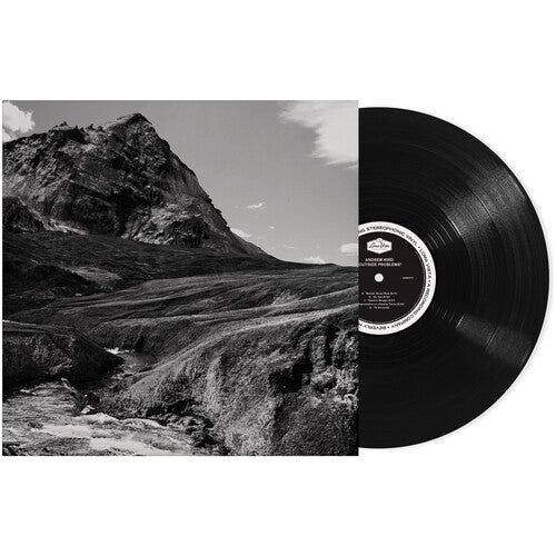 Andrew Bird - Outside Problems ( VINYL )