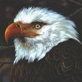 Mogwai - The Hawk Is Howling ( VINYL )