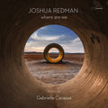 Joshua Redman - Where Are We ( VINYL )