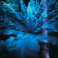 Hum - Downward Is Heavenward ( VINYL )