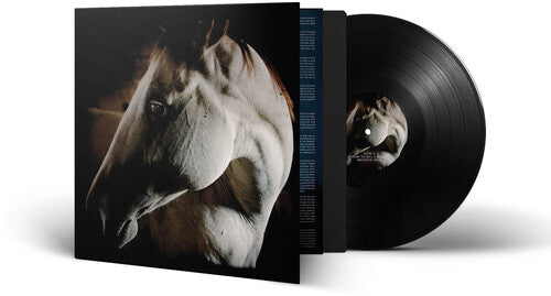 Brother Dege: How To Kill A Horse - Vinyl