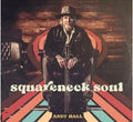 Andy Hall: Squareneck Soul  ( CD )