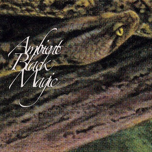 Rainforest Spiritual Enslavement: Ambient Black Magic - Vinyl
