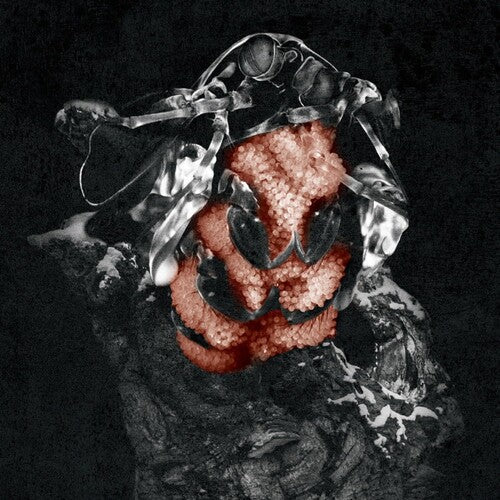My Lonely Sea: Gloom - CD