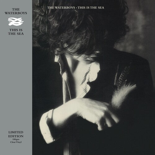 The Waterboys - This Is The Sea ( VINYL )