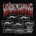 Undergang: De Syv Stadier Af Ford?ae?rv - CD
