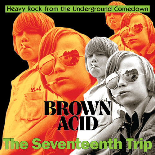 Various Artists - Brown Acid: The Seventeenth Trip ( VINYL )