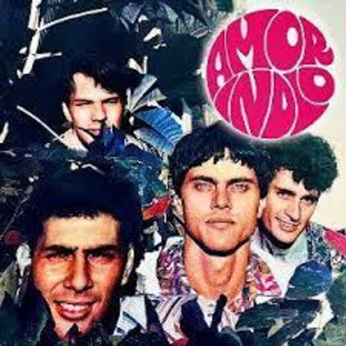 Amor Indio: Amor Indio - VINYL