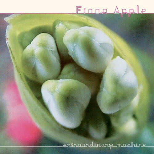 Fiona Apple - Extraordinary Machine ( VINYL )