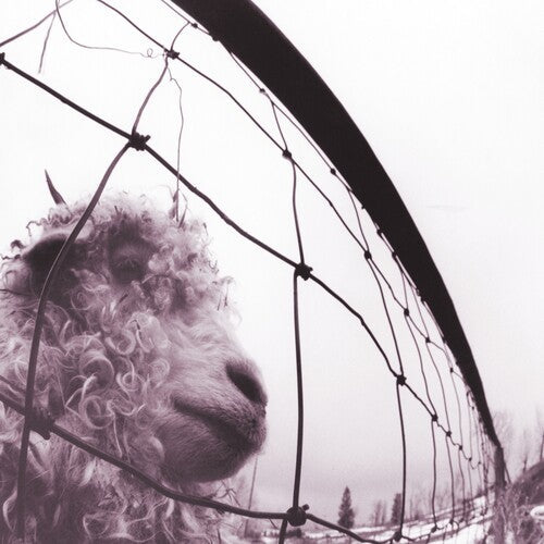 Pearl Jam - Vs. (30th Anniversary) ( VINYL )