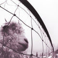 Pearl Jam - Vs. (30th Anniversary) ( VINYL )
