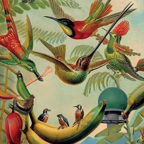Various Artists: Radar Keroxen, Vol.4 - Vinyl