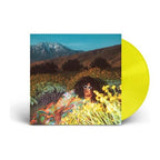 Brittany Howard - What Now ( VINYL )