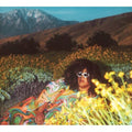 Brittany Howard - What Now ( VINYL )