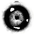 Variat: I Can See Everything From Here - Vinyl