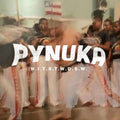 Pynuka: N.i.t.s.t.w.d.s.w. - Vinyl