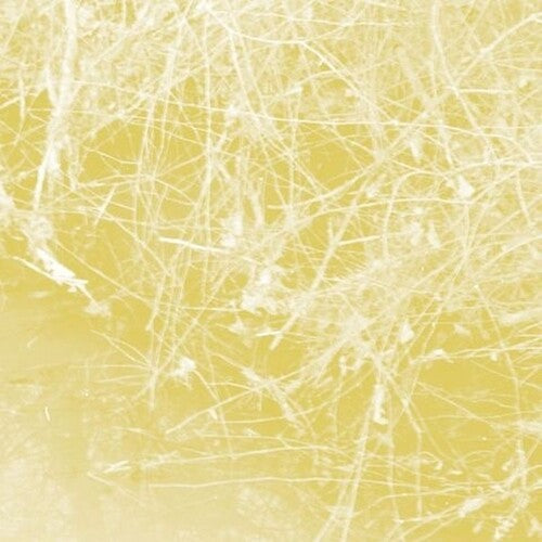 Celer: Cursory Asperses  ( CD )
