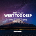 Amir Telem: Went Too Deep  ( CD )