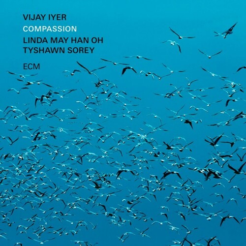 Vijay Iyer: Compassion - VINYL