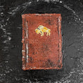 Apollo Brown & Che' Noir: As God Intended... - Vinyl