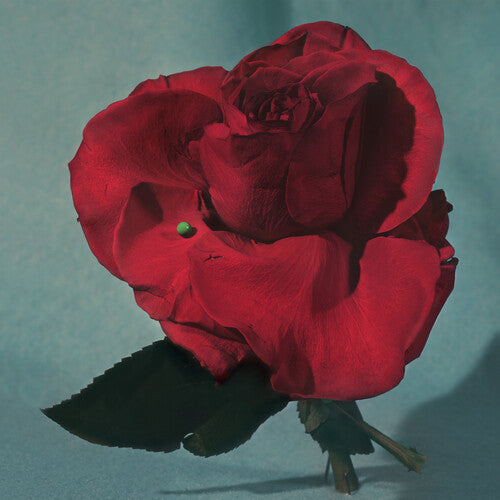 METZ - Up on Gravity Hill ( VINYL )
