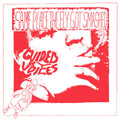 Guided by Voices - Same Place The Fly Got Smashed ( VINYL )