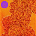 Nubiyan Twist: Find Your Flame - VINYL
