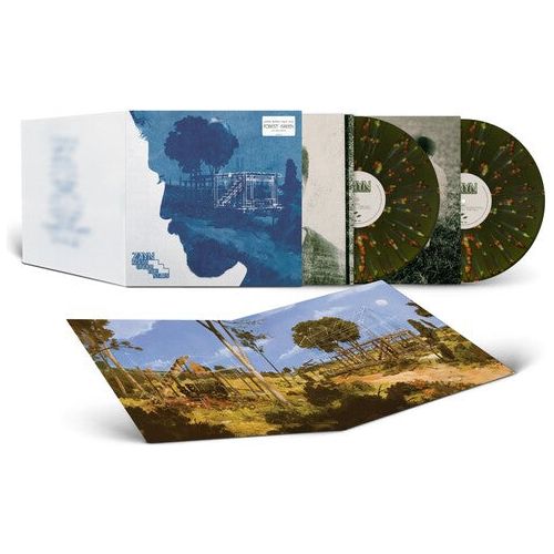 ZAYN - Room Under The Stairs ( VINYL )