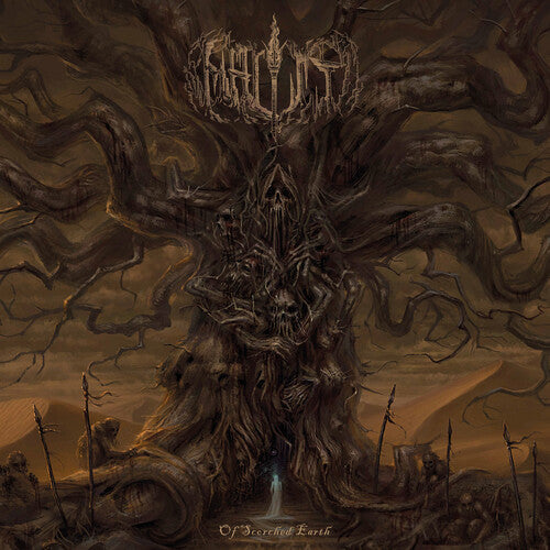 Beholder: Dualisme - VINYL