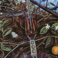 Dragonfly - Dragonfly ( VINYL )