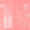 Pinkcourtesyphone: Arise In Sinking Feelings  ( CD )