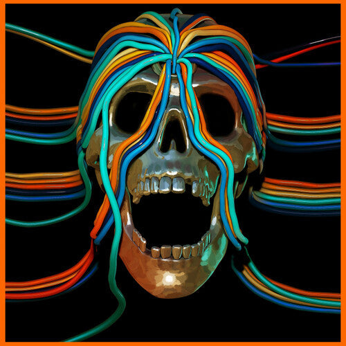 Osees - Intercepted Message (Reissue) ( VINYL )