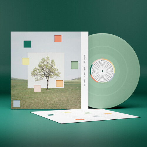 Washed Out - Notes From a Quiet Life - Loser Edition ( VINYL )