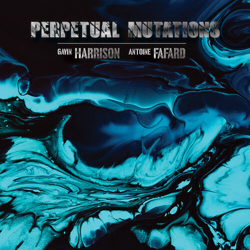 Gavin Harrison: Perpetual Mutations - VINYL
