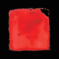 Salvia Palth: Last Chance To See - VINYL