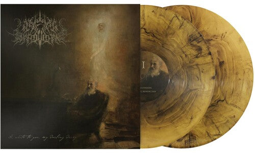 Wake in Providence: I Write To You My Darling Decay - VINYL