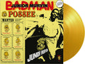 Junior Murvin: Bad Man Possee - VINYL