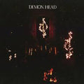 Demon Head: Through Holes Shine The Stars - VINYL