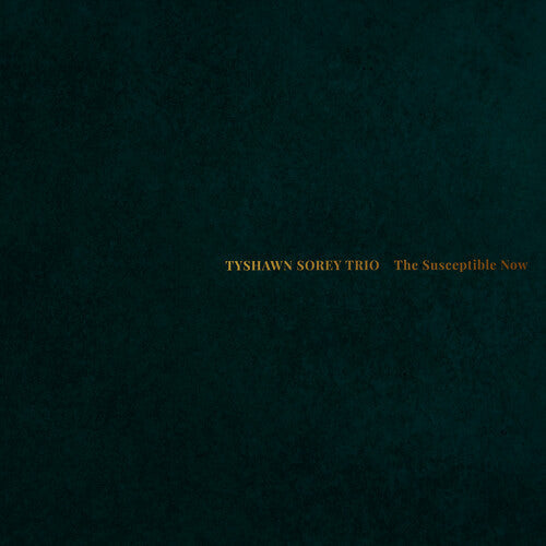 Tyshawn Sorey Trio: The Susceptible Now - CD