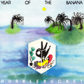 Rubblebucket Orchestra: Year Of The Banana - VINYL