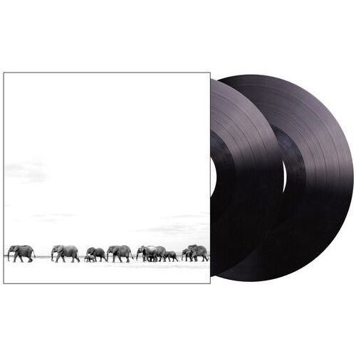 Dave Matthews Band - Where Are You Going: The Singles ( VINYL )